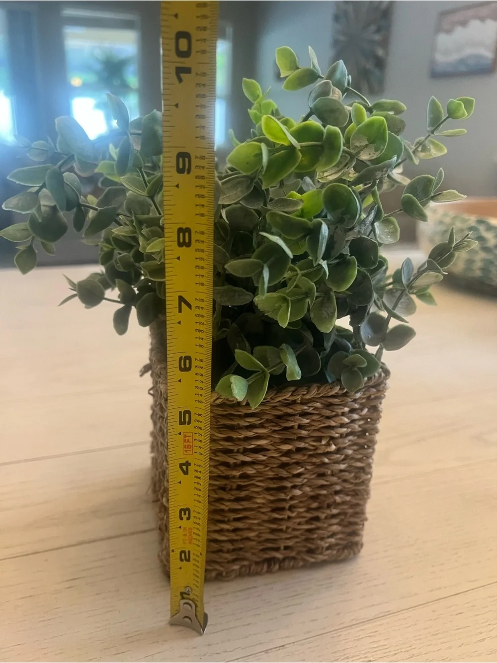 Faux Eucalyptus Plant in Woven Square Planter